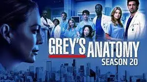 Photo of Anatomia lui Grey Sezonul 20 Episodul 10 Subtitrat in Romana