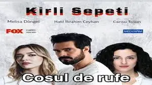 Photo of COȘUL DE RUFE MENAJERA Episodul 23 Subtitrat in Romana